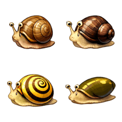 Snails Set