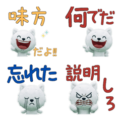 ตุ๊กตาสุนัขชิบบะสีขาว 9th