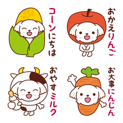 マルチーズのモモ_ダジャレまみれ