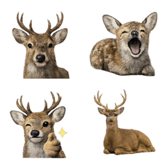 Realistic Deer 1