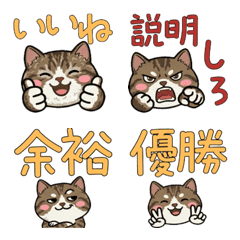 Move Round American Wirehair 22nd