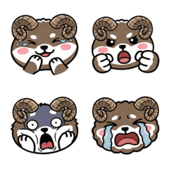 Move Round Argali 20th