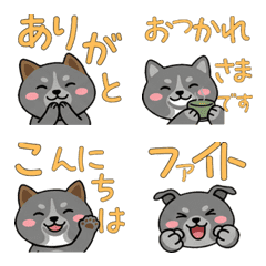 Move Round Italian Greyhound 22nd