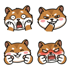 Round Face Gerbil  20th