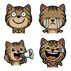 แมวลายคลาสสิก โอเวอร์  1st