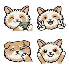 Move Round Angora Rabbit 20th