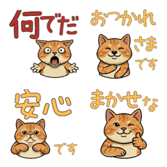 Animated Exotic Shorthair  16th
