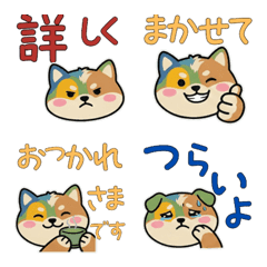 อิงลิช ค็อกเกอร์ หน้ากลม 21st