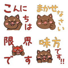 หมูป่า สุภาพ 23rd