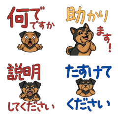 แอร์デールเทอร์เรีย สุภาพ  17th