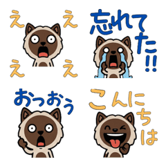 Animated Chocolate Point Cat  4th