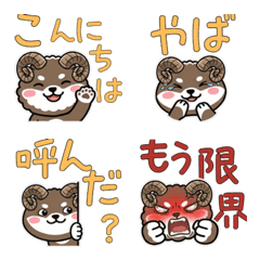 Move Round Argali 22nd