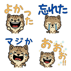 แมวลายจุด โอเวอร์  3rd