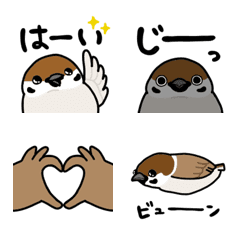 everyday sparrow