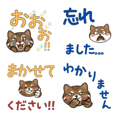 แมวอิริโอะโมะเตะ สุภาพ 23rd