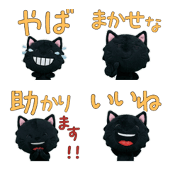 ตุ๊กตาแมวดำ  9th