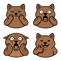 ควอกกา รีแอคชั่น  13th