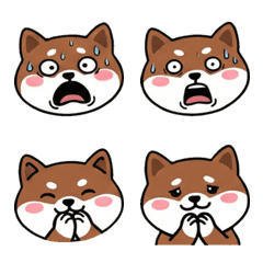 เพียงพอนเล็ก หน้ากลม 19th