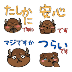 ไบซันอเมริกัน สุภาพ ดุ๊กดิ๊ก 24th