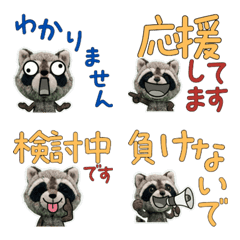 แรคคูนสุภาพขยับได้ 12th