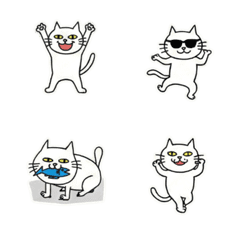 Turbulent White Cat: Thoughts at 3 AM