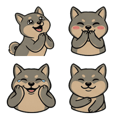 เกรย์ฮาวด์ ดุ๊กดิ๊ก  14th