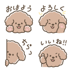 toy poodle emoji  (apricot)