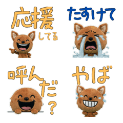 ตุ๊กตาชิวาวาน้ำตาล  9th