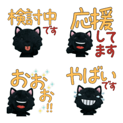 แมวดำสุภาพ  11th