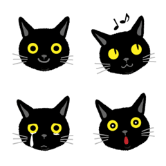 A black cat mood shows in its face.