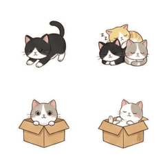 Tiny Wonders: Exploring the Inner World