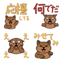 ควอกกา รีแอคชั่น  15th