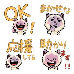 แมวไลแลคพอยท์ โอเวอร์  3rd