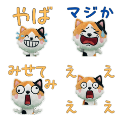 ตุ๊กตาแมวสามสี 9th