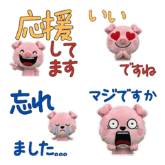 หมูสุภาพ 11th