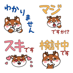 กวางแดงสุภาพ  23rd