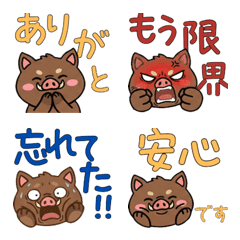 หมูป่า หน้ากลม 21st