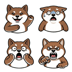 โอโคโจ (Stoat) รีแอคชั่น  13th