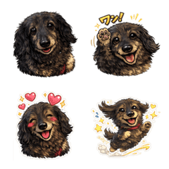 ロングコートダックス