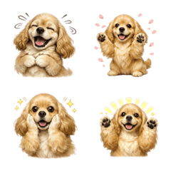 Lucu! American Cocker Spaniel