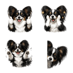 น่ารัก! อีโมจิ ปาปิยองสีดำ