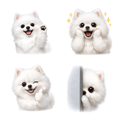 可愛い！ ポメラニアン 白 絵文字