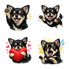 น่ารัก! อีโมจิชิวาวาสีดำ