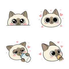 Cat Duo Duo: Big-Eyed Moods