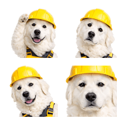 Realistic Dog Emoji [Construction]