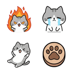 Cute Gray & White Chibi Cat