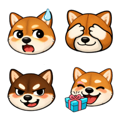 Cute Shiba Inus