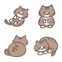 Orange tabby white cat