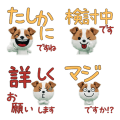 Polite Jack Russell 11th