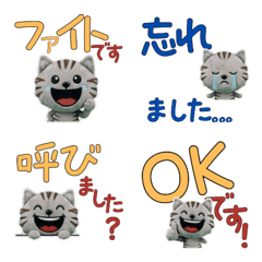 Polite Silver Tabby Cat 11th